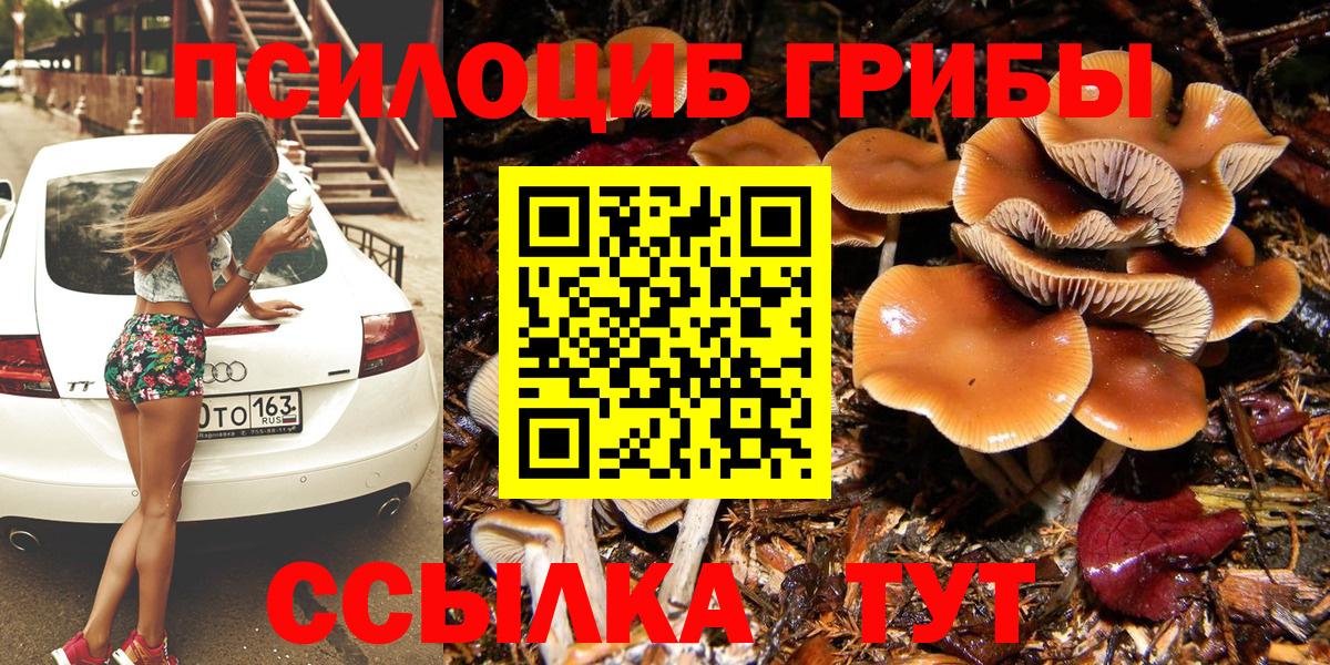 Псилоцибиновые грибы мицелий Новороссийск